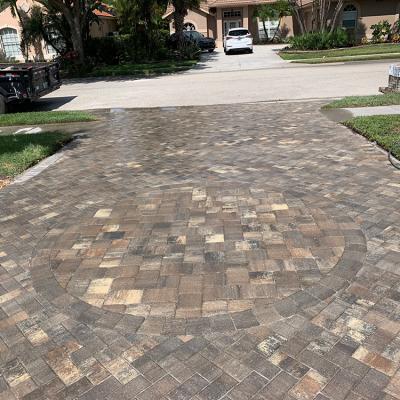 240774356 6664975026861505 3813312390274592337 N1