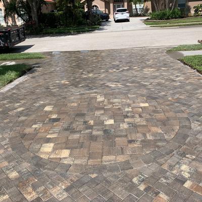 240774356 6664975026861505 3813312390274592337 N