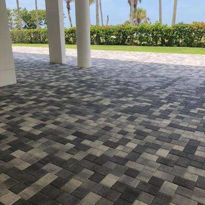 116843227 4744928208866206 651335263636187480 N